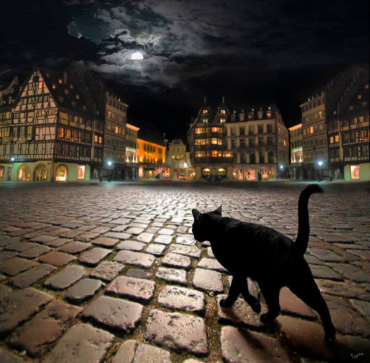 czarny kot i miasto nocą, Halloween