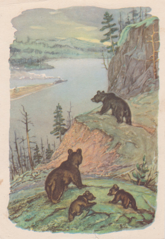 niedźwiadki pocztówka