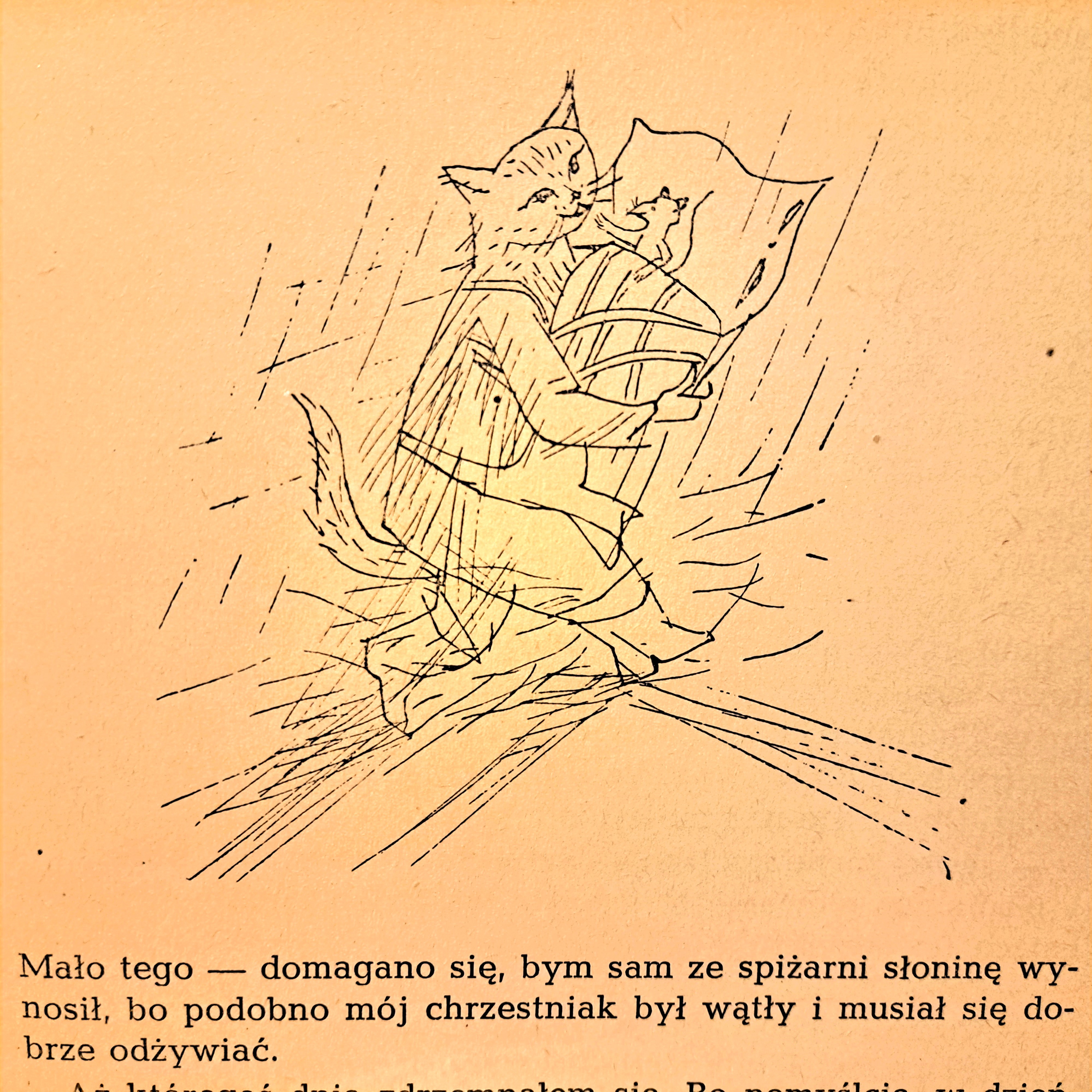 Mysibrat Miauczura - "Porwanie w Tiutiurlistanie", rysował Adam Marczyński - Kot niesie becik z małym myszątkiem